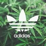 marco aparicio - @zarcorhernandez - Instagram