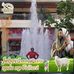 Marco Aparicio - Facebook