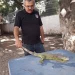 Marco Armenta - @marco.armenta.1690 - Instagram