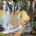 Marco Armstrong - Facebook
