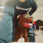 Marco Bahena - @marcobahena_805 - Instagram