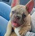 Marco Barraza - Facebook
