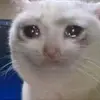 Marco Barretta - @marco.barretta - TikTok