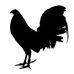 Marco Barron - Facebook
