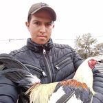 Marco Basurto - @basurtomarco43 - Instagram