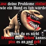 Marco Bauer - @marcobauer1977 - Instagram