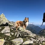 Marco Baumann - @baumann3342 - Instagram