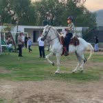Marco Becerril - @marco_n_m_b_808 - Instagram