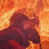 Marco - @becher.marco - TikTok