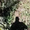 Marco Bello - @marco.bello7 - TikTok