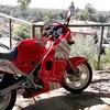 Marco Benson426 - @marcobenson426 - TikTok