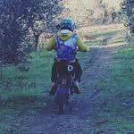 Marco Bernini - @marco_bernini_ - Instagram