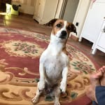 Marco Bertini - @bertini5233 - Instagram