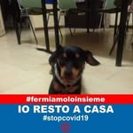Marco Bertoldi - @marco.bertoldi.1466 - Instagram