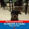 Marco Bertoldi - @marcobertoldi1 - TikTok