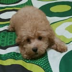 @marcobestplace - Instagram