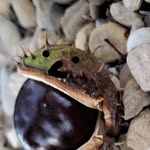 marco bini - @marcobini56 - Instagram
