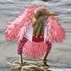 marco.birding.jpg - @marco.birding.jpg - TikTok