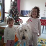 Marco Bracci - Facebook