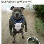 Marco Bright - @brightmarco - Instagram