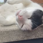 Marco Brinati - @marco_brinati - Instagram