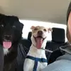 Marco y Bruce - @marcobrucie - TikTok
