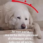 Marco Bruschi - @marcobrus75 - Instagram