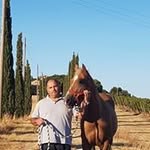 Marco Bruschi - @bruschimarco - Instagram