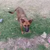 Marco bustillo ✔️ - @marco.bustillo46 - TikTok
