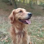 Marco Buzzi - @mbuzzi85 - Instagram