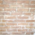 Marco Antonio da Silva - @marcocanada1974 - Instagram
