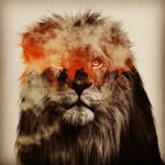 Marco Canepa - @marco_canepa - Instagram