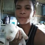 Marco Capito - @capitomarco - Instagram