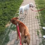Marco Cardillo - Facebook