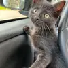 marcocardillo776 - @marcocardillo776 - TikTok
