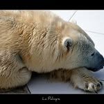 Marco Carson - @marcocarson - Instagram