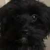 Bengi and Marco - @marco_carter - TikTok