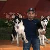 user4753110998375 - @marcocasanova87 - TikTok