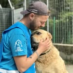 Marco Castaldi - @marcocastaldi_dogtrainer - Instagram