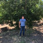 Marco Cazares - @marco.cazares.31 - Instagram