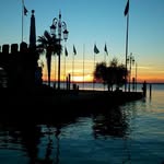 Marco Ceppi - @marco.ceppi.773 - Instagram