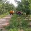 marcocespedes358 - @marcocespedes358 - TikTok
