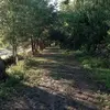 Marco Chamorro - @marco.chamorro3 - TikTok