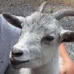 Marco - @marco_cheese__ - Instagram