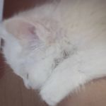 Marco Cheng - @marco_chengmh - Instagram