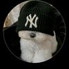 Marco Chicas - @marco.chicas8 - TikTok