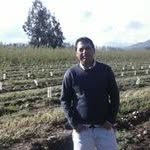 Marco Corrales Gonzales - @marcocorralesgonzales - Instagram