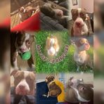 Marco Crawford - Facebook