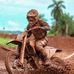 Marco Moto Cross - Facebook