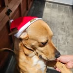 Marco Cuenca - @cuenca4814 - Instagram